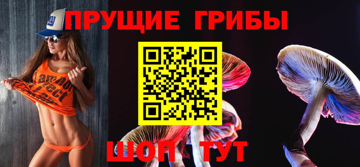Галлюциногенные грибы Psilocybine cubensis  Галлюциногенные грибы мухоморы  Вход с VPN  Коряжма 