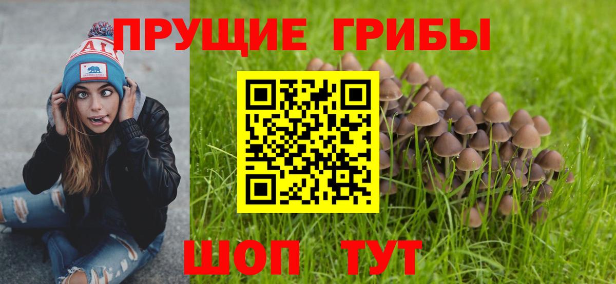 Псилоцибиновые грибы ЛСД Коряжма